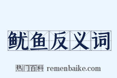 鱿鱼反义词是什么意思的图片